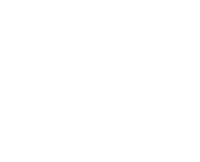 AVS Pro